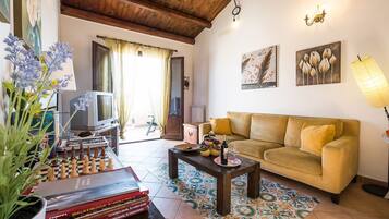 Télévision, lecteur de DVD, livres