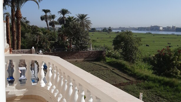 Un balcon doté de balustrades blanches, offrant une vue sur un paysage verdoyant, avec des palmiers et, au loin, les contours d’une ville.