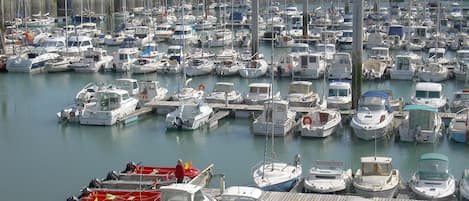Marina