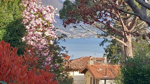 Una casa con techo de tejas rojas, rodeada de exuberante vegetación y una montaña al fondo.