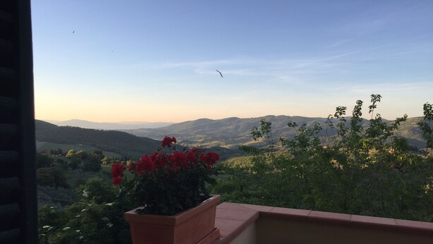 A balcony with a potted plant and a view of a mountainous landscape. - "TERRACE BELL" (PANZANO IN CHIANTI)
