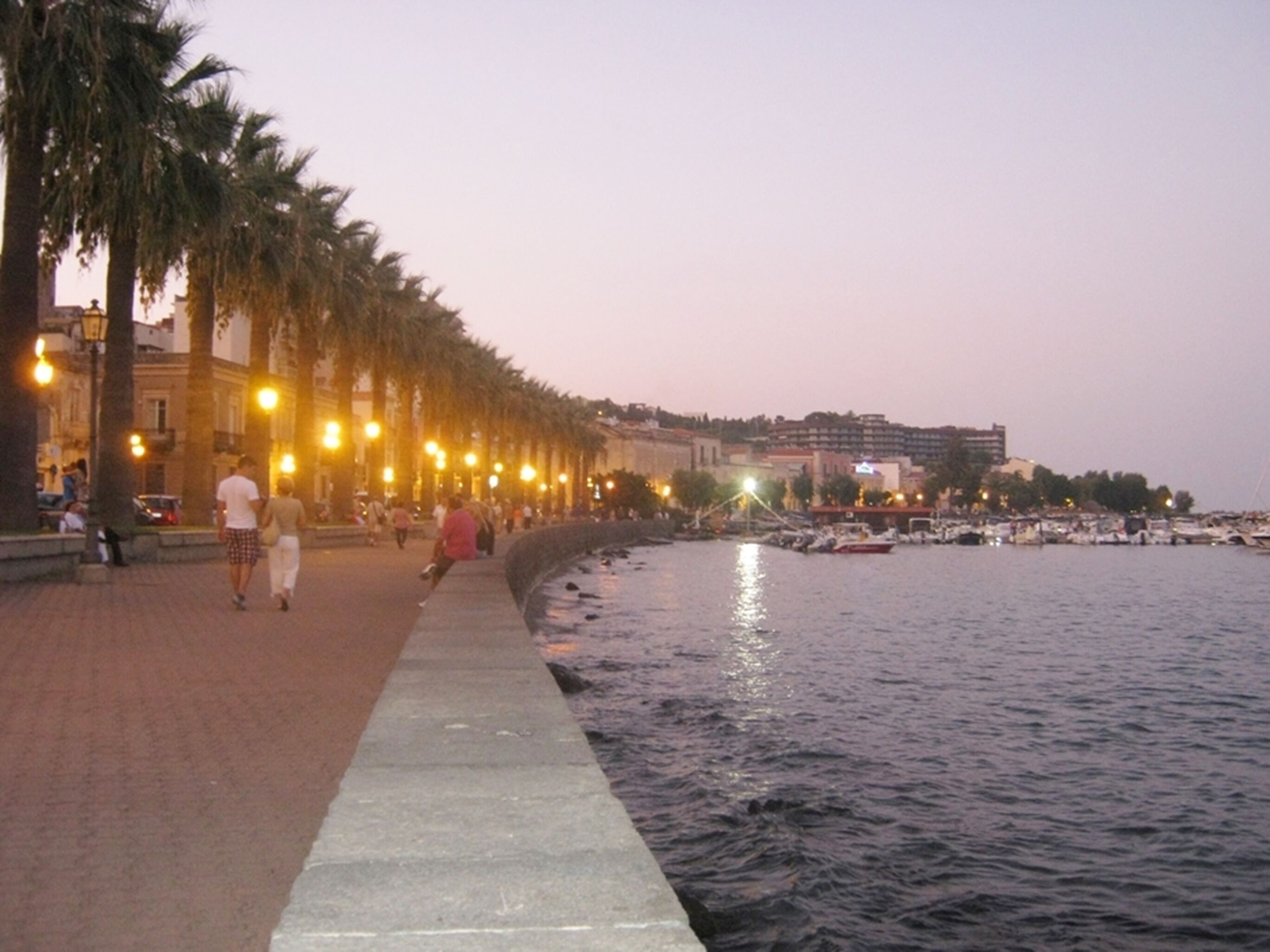 Un paseo marítimo con palmeras, un sendero pavimentado y un puerto deportivo al fondo.