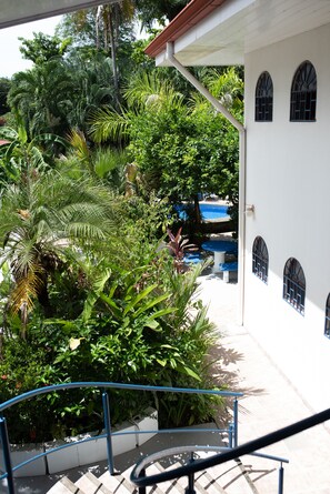 Property grounds - TOUCAN Apartment (JACO)