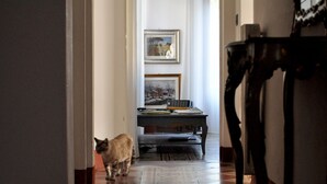 A hallway with a cat walking towards a desk with a computer and a framed picture above it. - Beautiful house in Villa Liberty  (Marina di pisa)