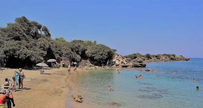 Beachfront One Beroom Apartment