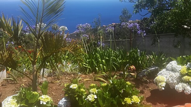 A garden with various plants and flowers, a tiled pathway, and a view of the ocean. - Villa Luz: between Serra and the Sea - Free Wifi (Santa Cruz)