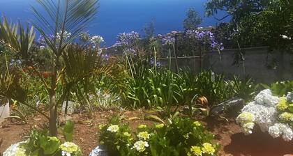 Villa Luz - Family House Vacations- Large Private Outdoor Area