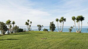 A grassy area with palm trees and a view of the ocean.
