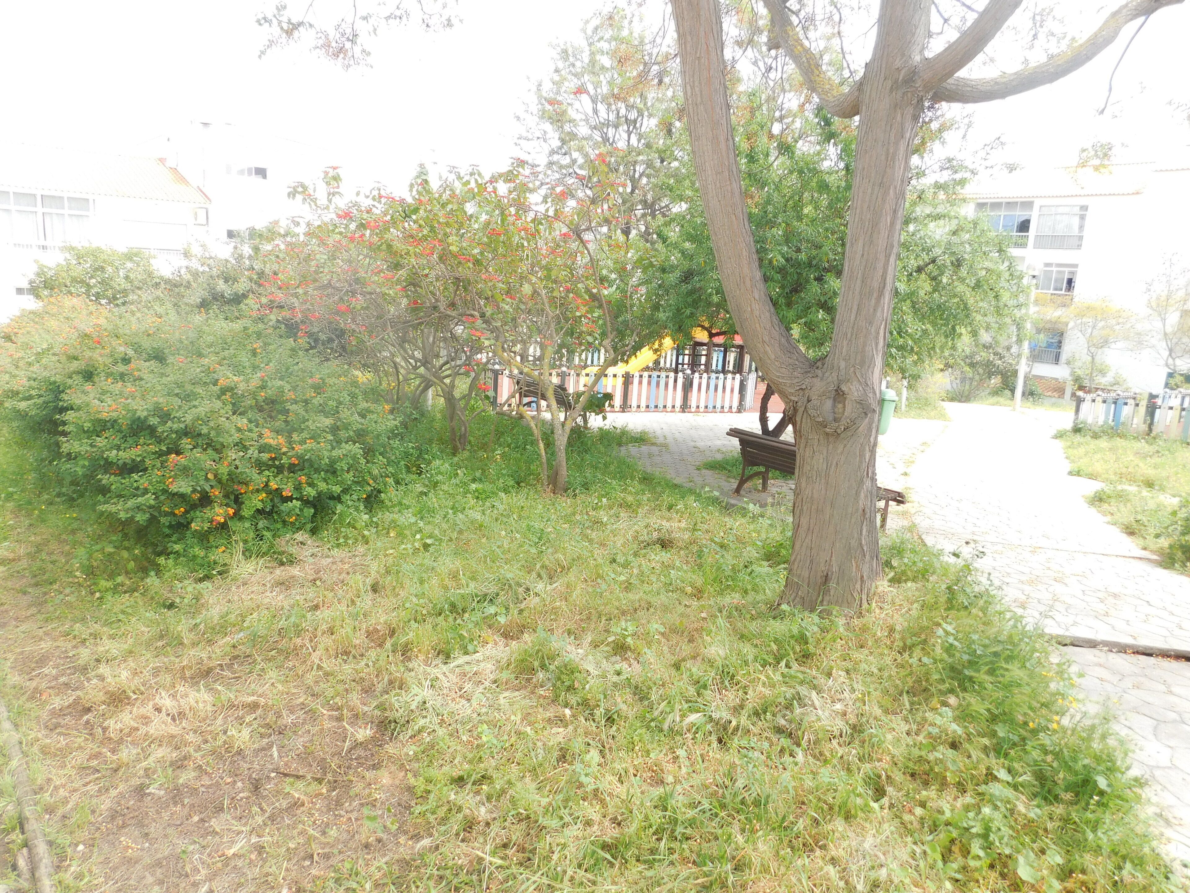 Un sendero que lleva a un banco y a una zona arbolada, con un edificio al fondo.