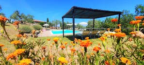 Piscina externa