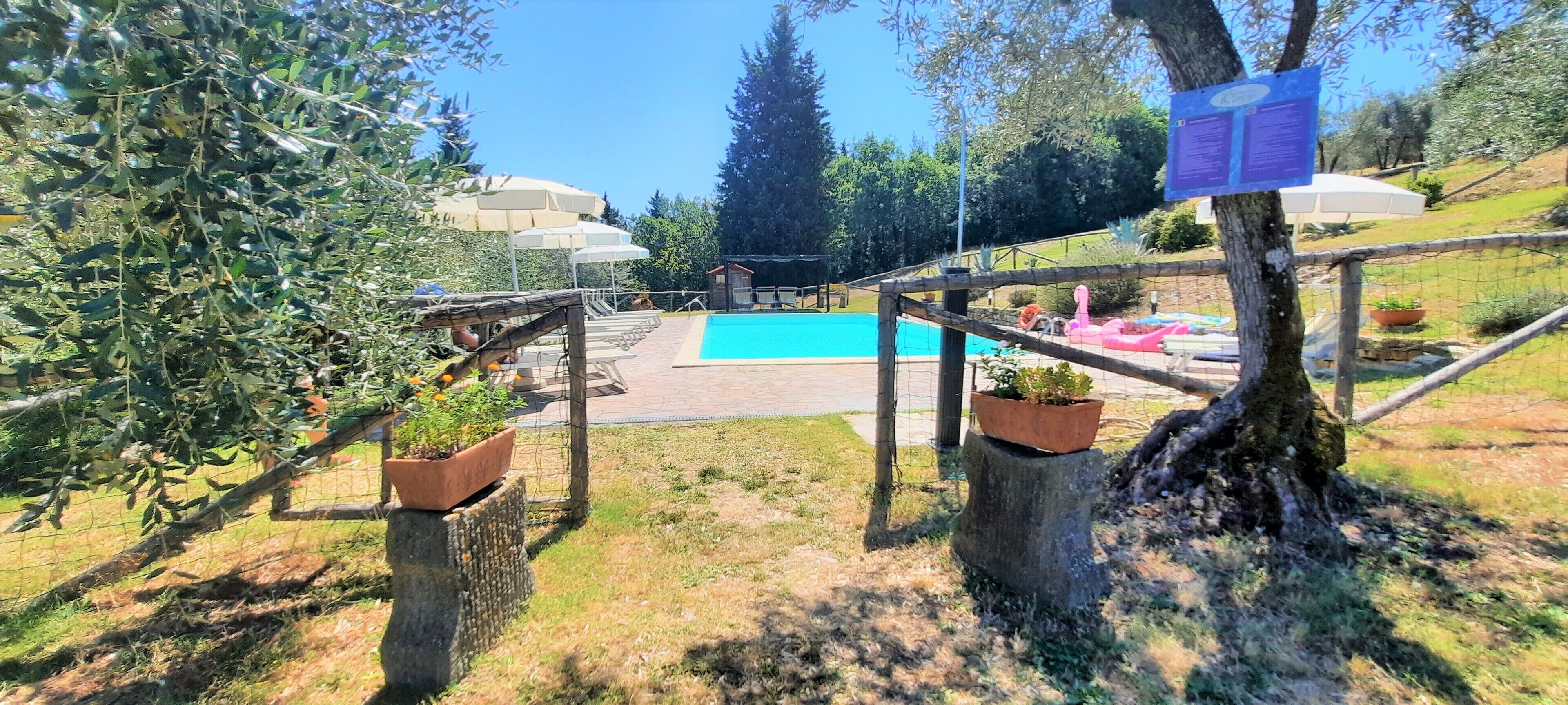 Ein Poolbereich mit Holzterrasse, Kübelpflanzen und einem umzäunten Schwimmbecken.