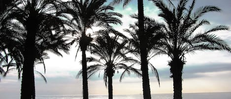 Plage à proximité