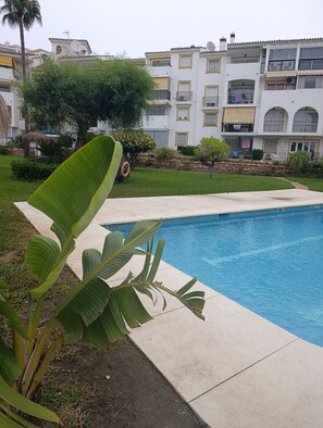 A swimming pool with a concrete edge, surrounded by a well-maintained lawn and a variety of plants. In the background, there is a multi-story building with balconies and satellite dishes.