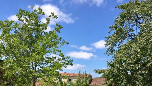 A field of sunflowers with a building in the background. - Marcadis Gite @Finders Keepers France. Adult only site with 16 acres and a lake  (Moncrabeau)
