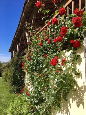 Exterior detail - Marcadis Gite @Finders Keepers France. Adult only site with 16 acres and a lake  (Moncrabeau)