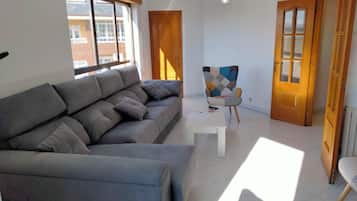 TV, DVD player, video library, stereo