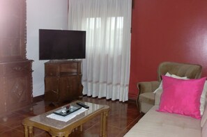 Televisión 