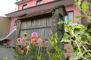 Property grounds - Quinta das Beautiful :) (Mondim de Basto)