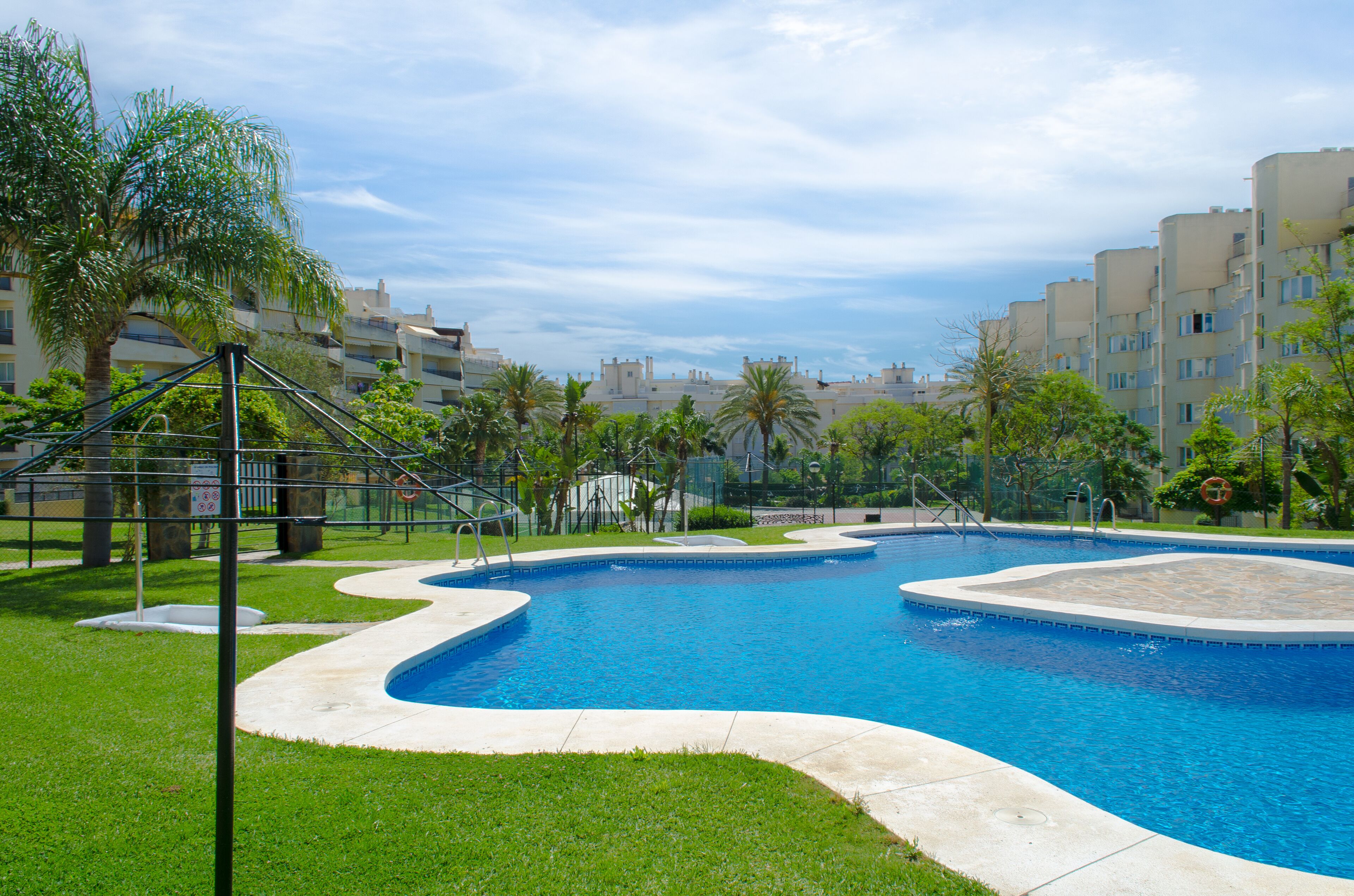 A swimming pool with a curved design, surrounded by a grassy area and palm trees.