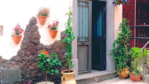 A building with a stone wall, a black door, and multiple potted plants.