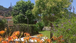 A garden with orange flowers, a tree, and a building in the background. - Amaryllis vacation homes - pink house - CODE CIN: IT011002B4COYDJRPS (Romito Magra)