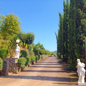 Parco della struttura