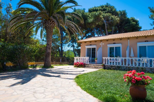 A house with a stone pathway leading to the entrance, surrounded by lush greenery and a palm tree.