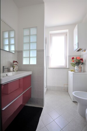 Shower, hair dryer, bidet, towels