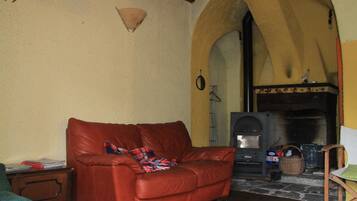 Smart TV, fireplace, DVD player, books