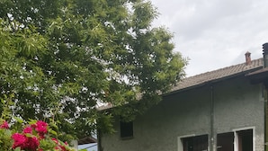 Ett lantligt hus med en fasad av sten, en liten trädgård med rosa blommor och en klar himmel.