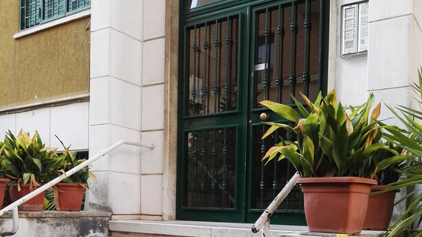 Entrada de un edificio con puerta verde, escalones de piedra y plantas en macetas.