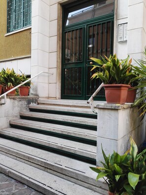 A building entrance with a green door, stone steps, and potted plants.