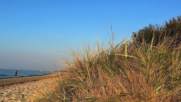 A beach with sand and tall grass in the foreground. - Family-friendly house with dunes, view of ocean, sauna (Lübeck)