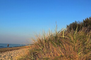 A beach with sand and tall grass in the foreground. - Family-friendly house with dunes, view of ocean, sauna (Lübeck)