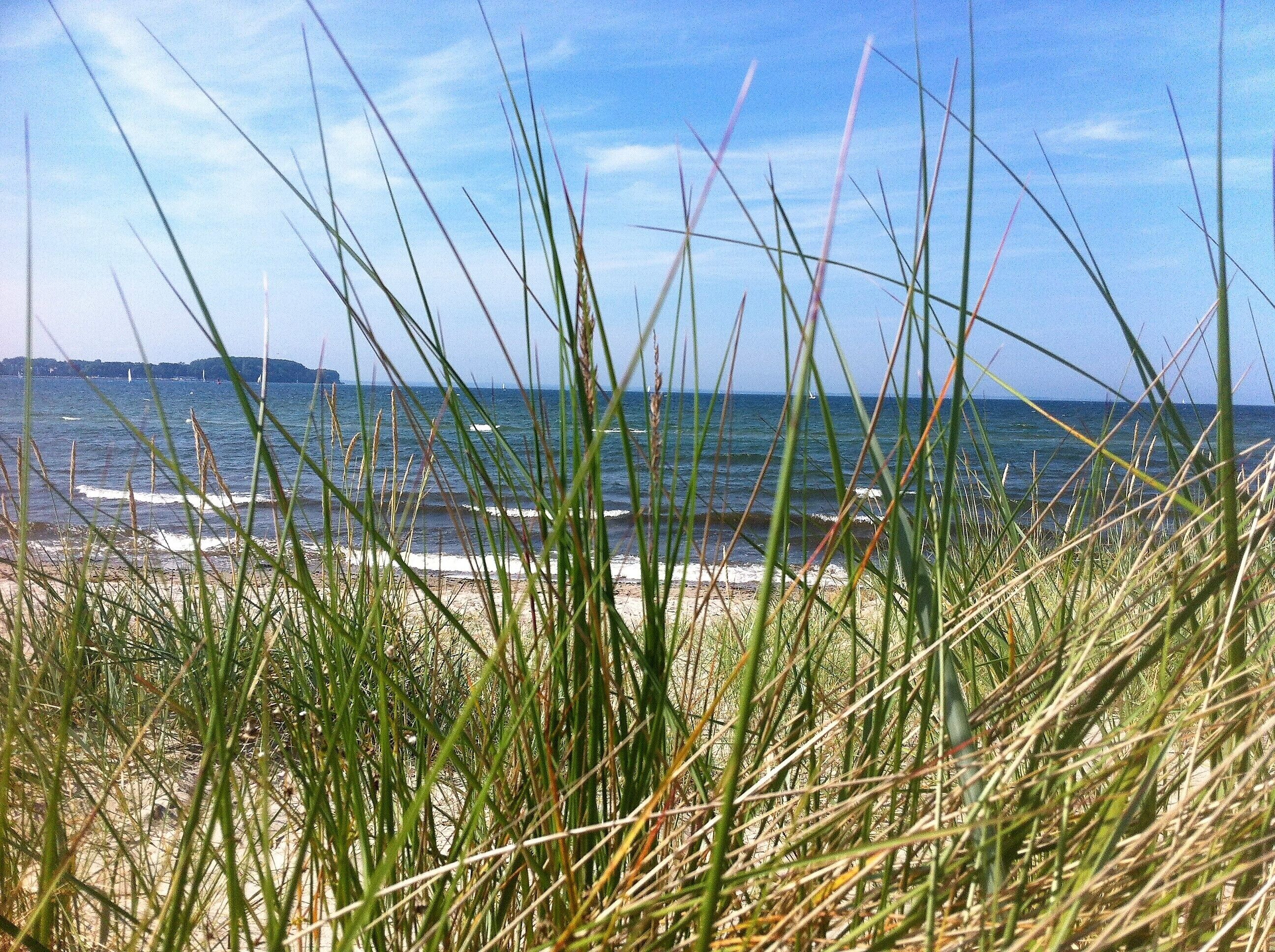 On the beach, sun-loungers