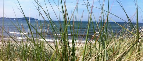 On the beach, sun-loungers