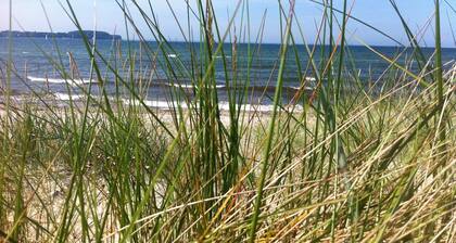 Family-friendly house with dunes, view of ocean, sauna