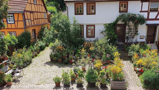 A courtyard with potted plants and a cobblestone path leading to a building with a white facade and brown window frames.