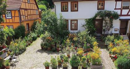 4-room vacation apartment - balcony - Dahner Felsenland