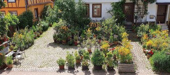 2 Fewos Premium Turregion Felsenland Palatinate Forest