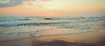 Steps to Beach, Shops, Pubs. Pet Friendly!