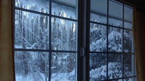 Una ventana con vista a un bosque nevado.