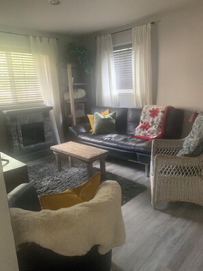 Smart TV, fireplace, DVD player, stereo