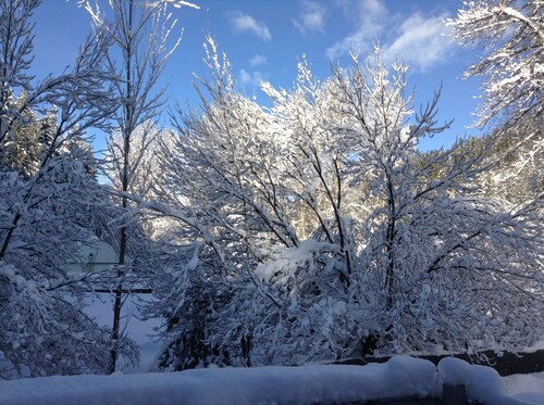 Canyon Loft. Not Too Far, Not Too Close. Private Stay.  STR # 000795