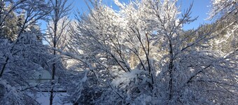 キャニオンロフト。 遠すぎず、近すぎない。 わずか数分のプライベートステイ。        