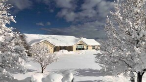 Un paisaje nevado con una casa y árboles.