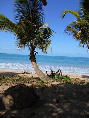 A beach with palm trees, a sandy shore, and the ocean. - Private home close to BEACH, RAIN FOREST  (Luquillo)