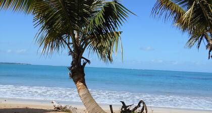 Private home close to BEACH, RAIN FOREST