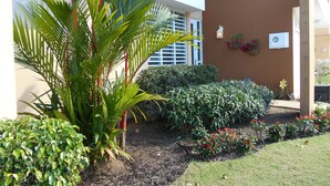 A landscaped garden with various plants and a building in the background.
