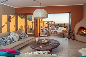 Televisión, chimenea y libros 